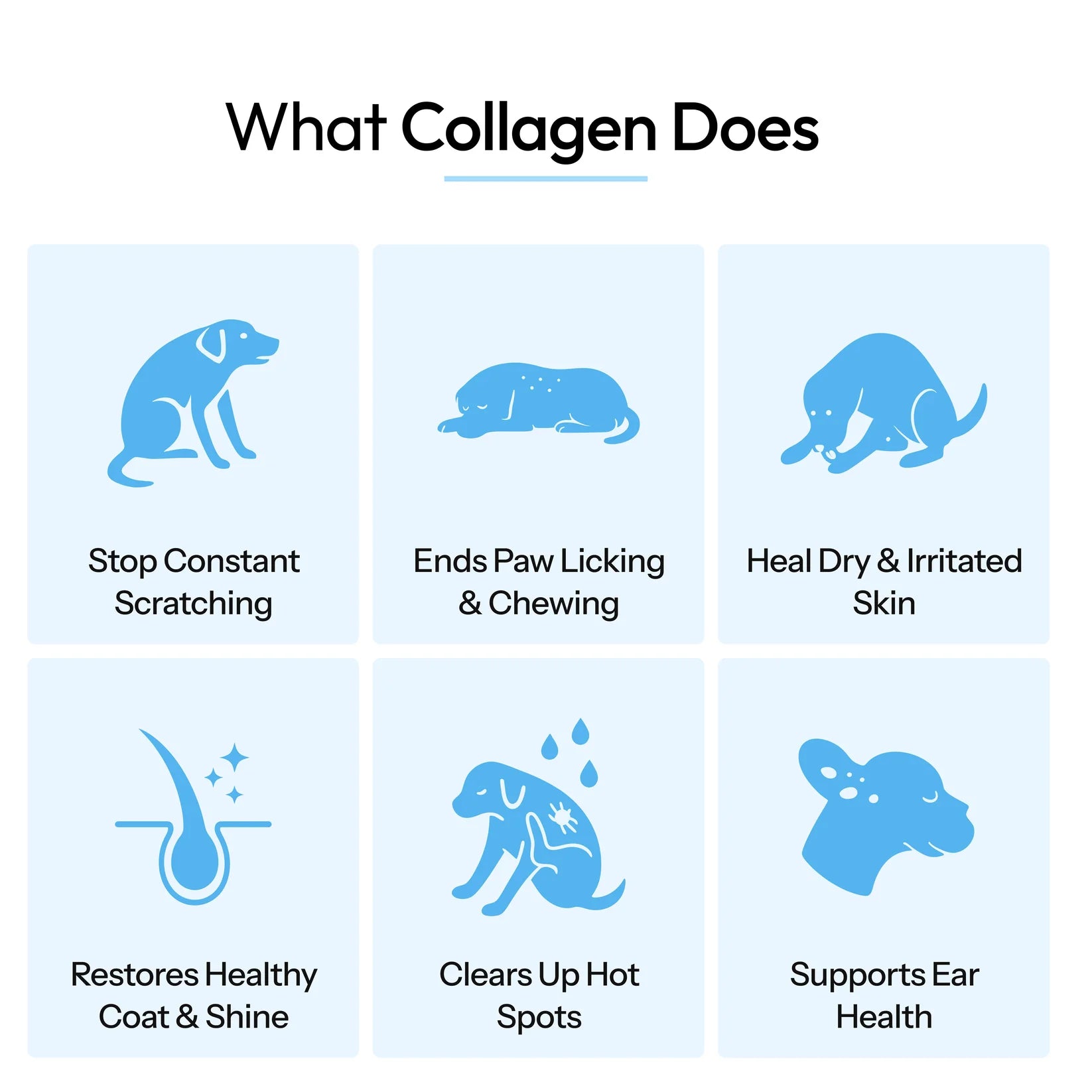 What collagen does