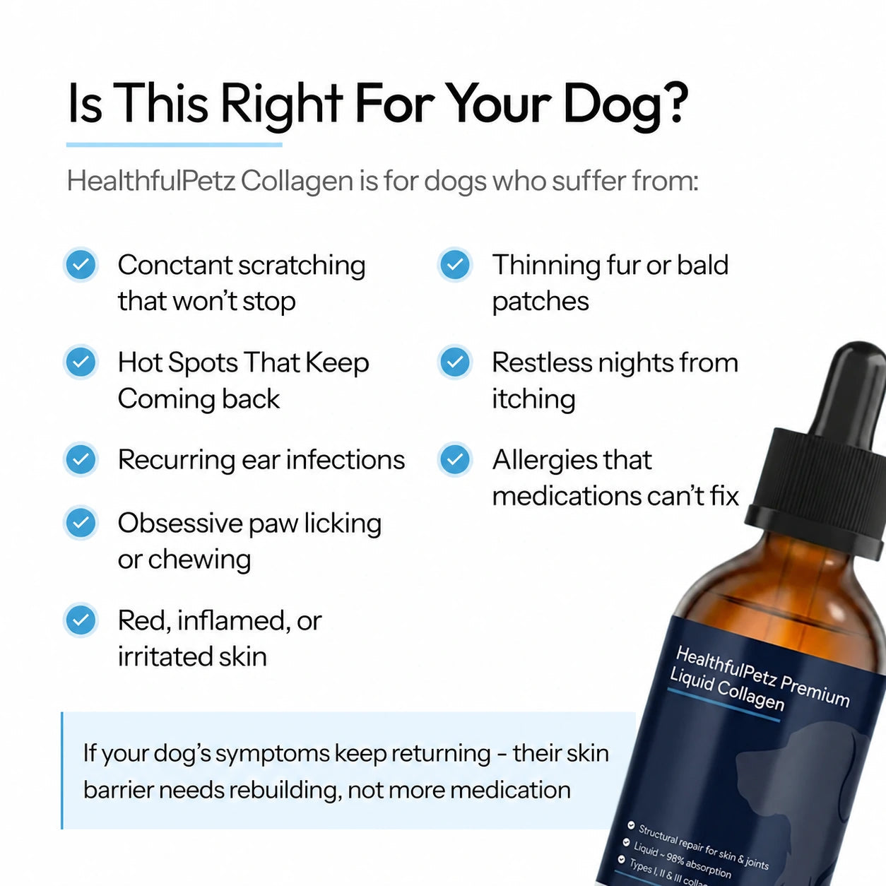 Is this right for your dog?